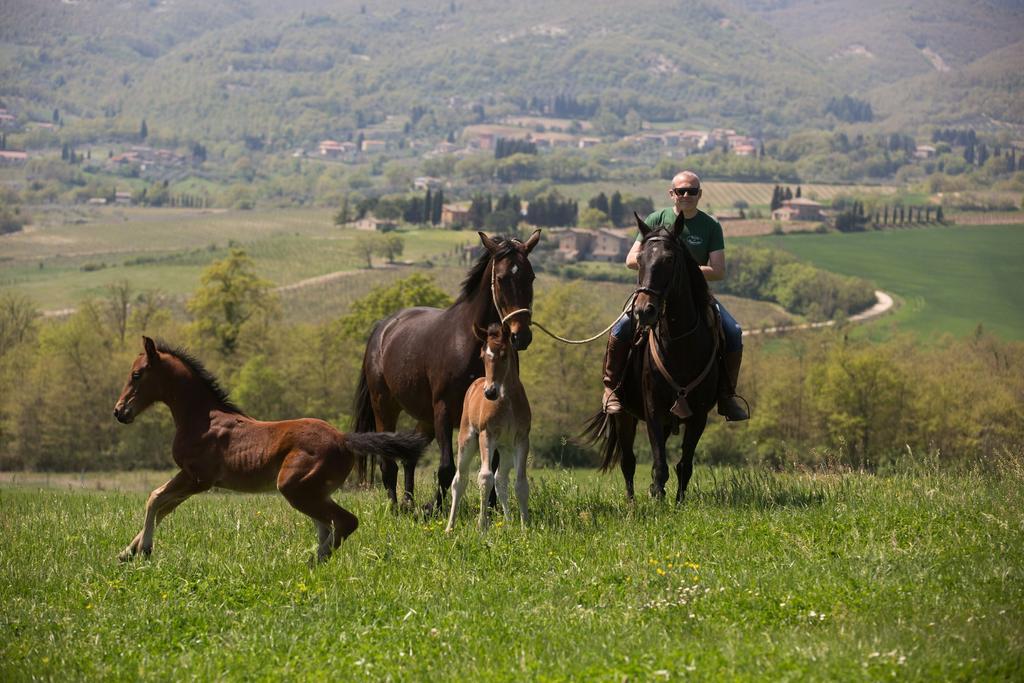 Poggiovalle Tenuta Italiana Citta della Pieve Exterior photo